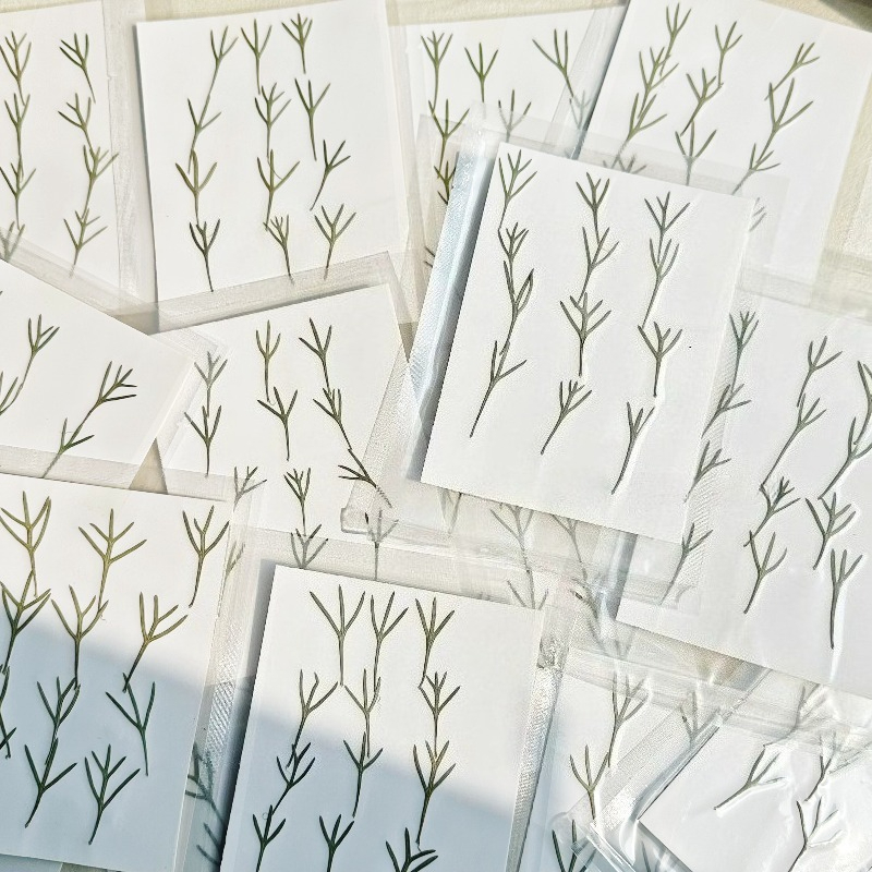 24pcs,Real Pressed Achillea Le - đánh giá và giá Resin Art Baby